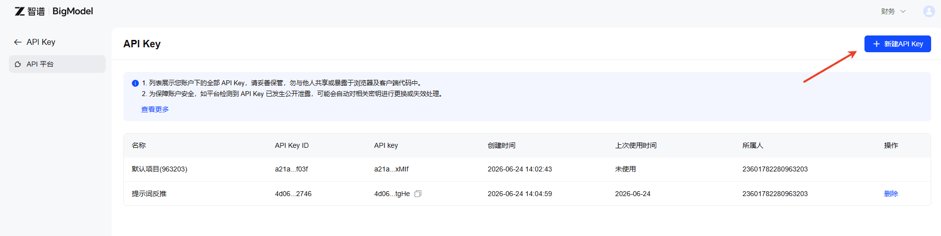 Página de API Keys